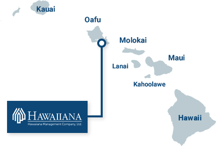 Hawaiiana Holdings Incorporated.(ハワイアナ・ホールディングス・インコーポレイテッド)